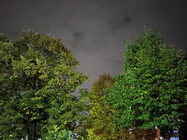 istock Beautiful autumn night images 2241631154