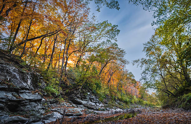 istock View of ravine with maple trees on top lit by setting sun in autum 2241633759