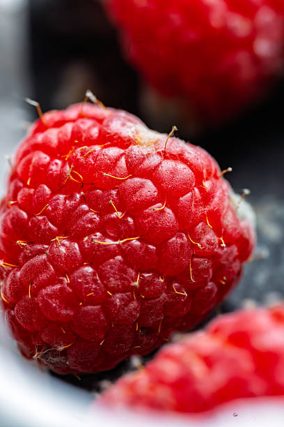 Raspberries Infested with White Mold in Close-Up View on Dark Surface