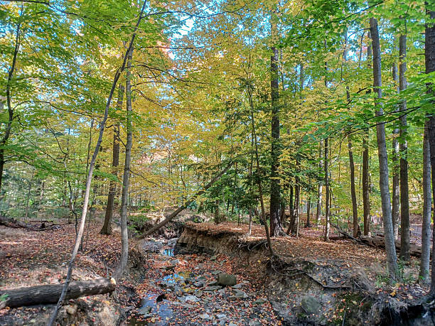 istock James Gardens park in Toronto 2241648113