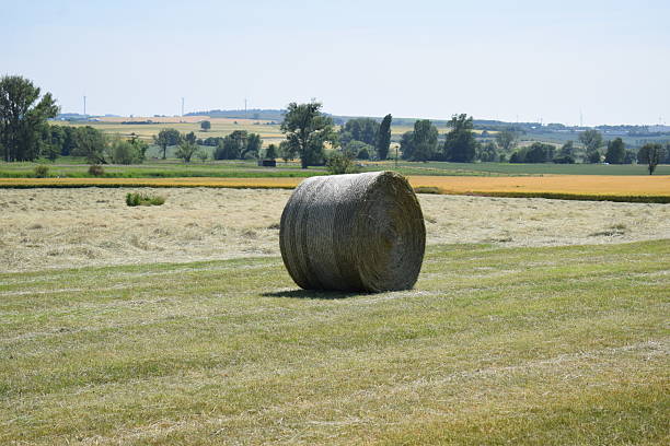istock straw bale on a harvested field 2241656622