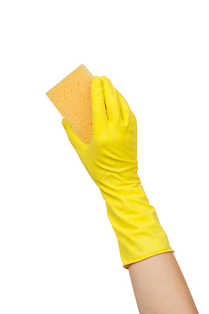 istock Hand in Glove Holding Sponge Isolated 2241656711