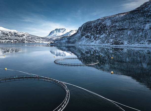 istock fish farm in Norway 2241657037