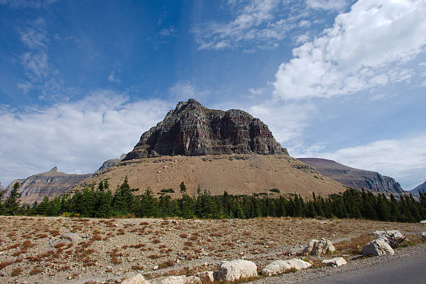 A rugged mountain peak rises behind a dense pine forest beneath a bright blue sky. A natural landscape perfect for nature, travel, and outdoor adventure themes.