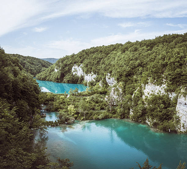 Panoramic view of turquoise blue lakes surrounded by dense green forest and limestone cliffs in Plitvice Lakes National Park, Croatia, under a bright summer sky.