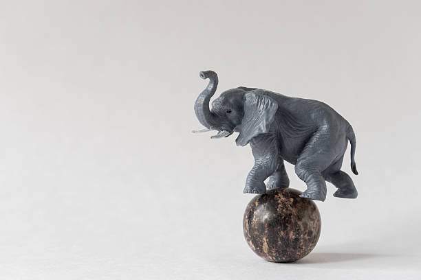 istock Toy elephant balancing on a marble sphere 2241659683