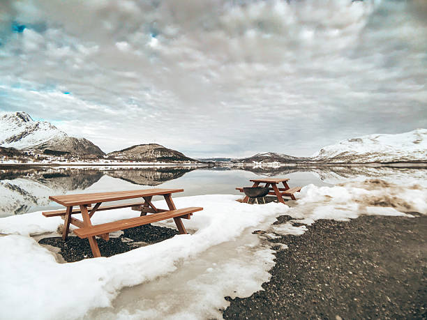 lofoten landscape in winter