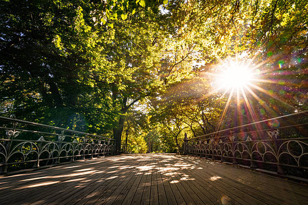 October view of Bow Bridge in Central Park, New York City, surrounded by autumn foliage. The elegant cast-iron bridge, one of the park’s most iconic landmarks, is framed by golden and green leaves as sunlight filters through the trees, creating a serene and picturesque atmosphere in the heart of Manhattan.