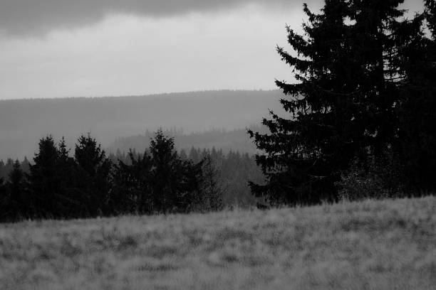 Autumn weather in the Thuringian Forest