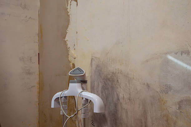 A steam cleaner stands next to a wall with peeling paint, highlighting ongoing home renovation efforts in a living space