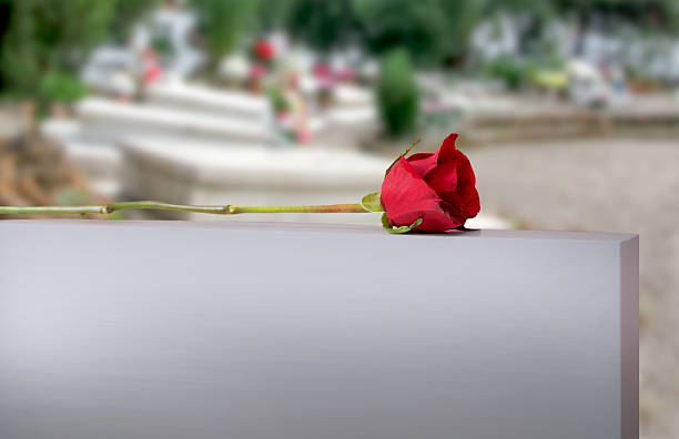 Funeral, cemetery and hands with rose on tombstone for remembrance, ceremony and memorial service. Depression, sadness and person with flower on gravestone for mourning, grief and loss in graveyard