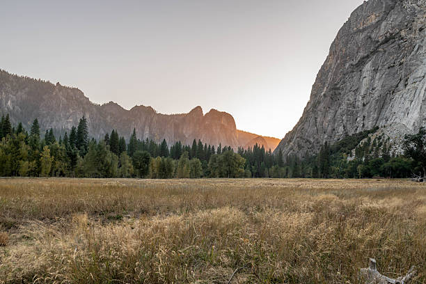 Low-agle view of majestic meadow and a large El Capitan granite rock in Yosemite National park, California, the United States during sunny summer day