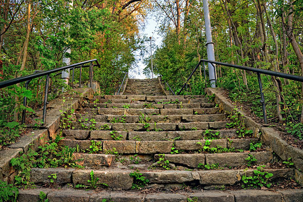 Old stone steps leading steeply uphill through lush green summer park.