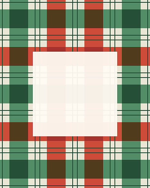 PHENOMENON◆TARTAN BORDER S/S　SH/半袖シャツ/M/コットン/WHT