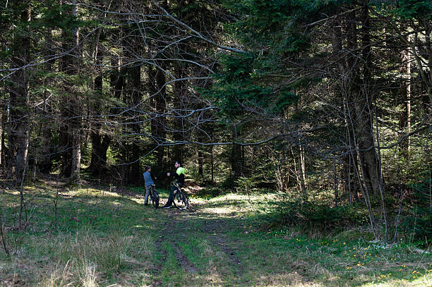 istock Two cyclists pause on a forest trail, taking a break amidst the trees. 2241674975