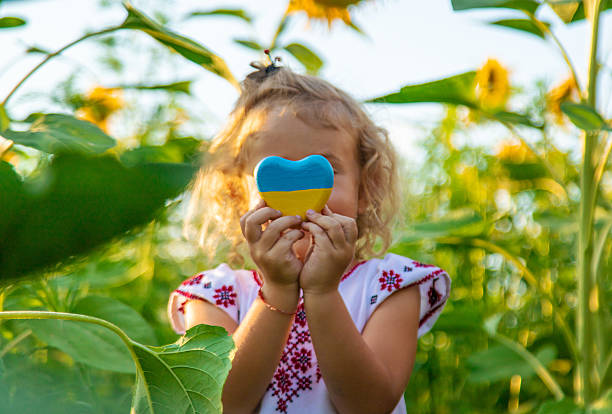 Child in a sunflower field wearing an embroidered shirt. Selective focus.