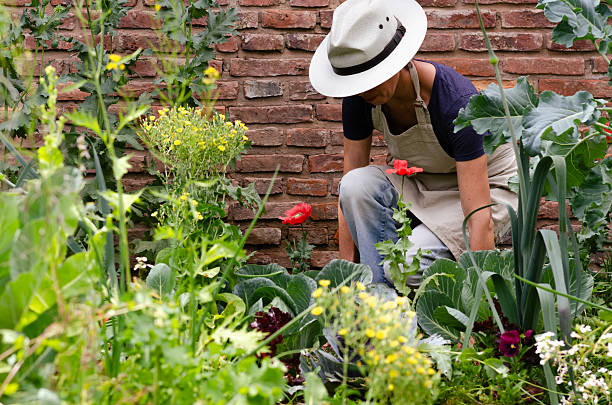 A woman gardener working in an urban backyard garden.