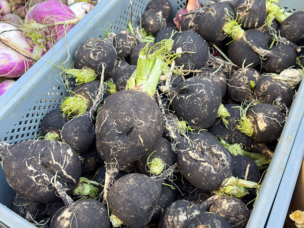 istock Fresh black radishes in blue bin at market display 2241683172