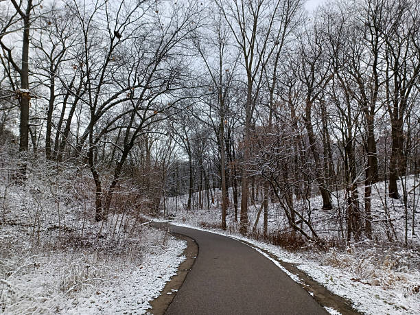 istock Snowy Forest Trail in Winter 2241686029