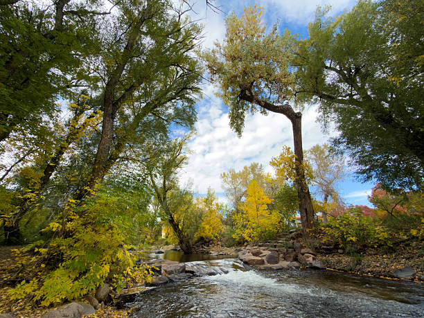 Mill next to a river in autumn