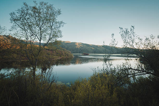 Sunrise overlooking the lake with an island in front surrounded by plants.
