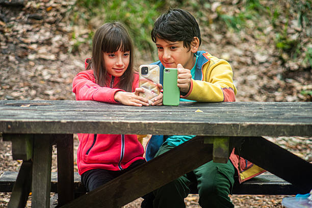 Siblings looking at smartphones at a picnic table in a forest camp - Yedigöller National Park