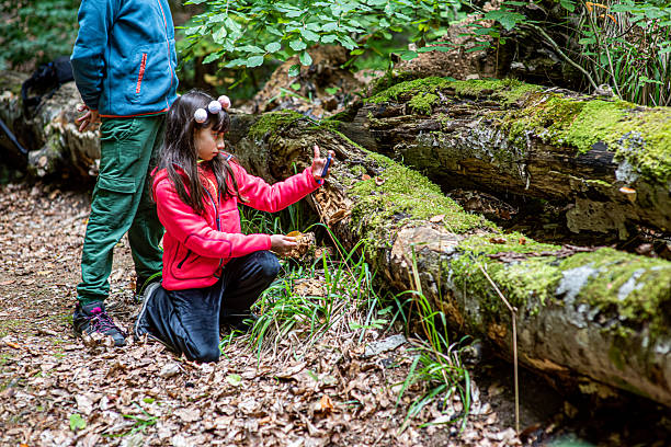istock Siblings taking selfies with smartphones in the forest 2241697404