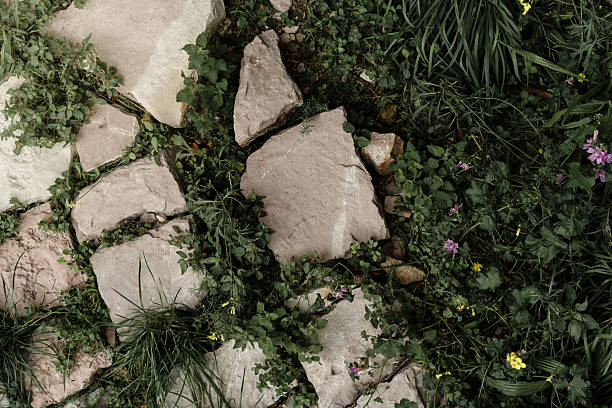 Stone Pathway in Italy with Green Plants Growing Between