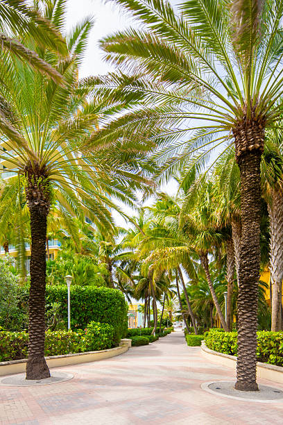 istock Miami Beach walking path pathway along the coastline beach 2241700339