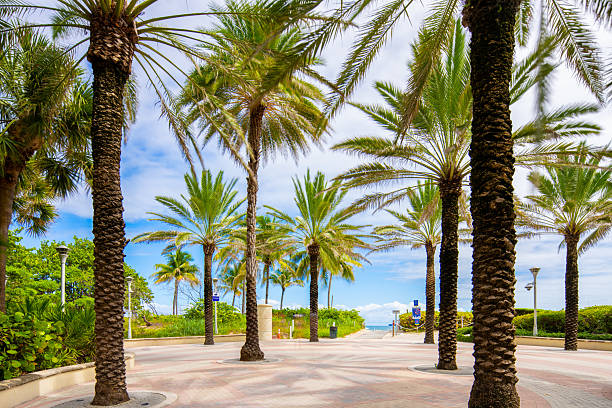 Miami Beach walking path pathway along the coastline beach