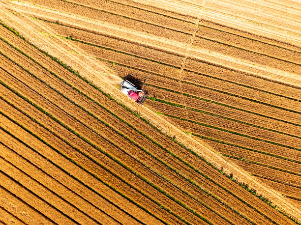 istock Combine harvester working on a wheat fieldAerial photos 2241707189