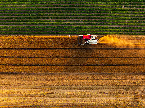 istock Combine harvester working on a wheat fieldAerial photos 2241707465