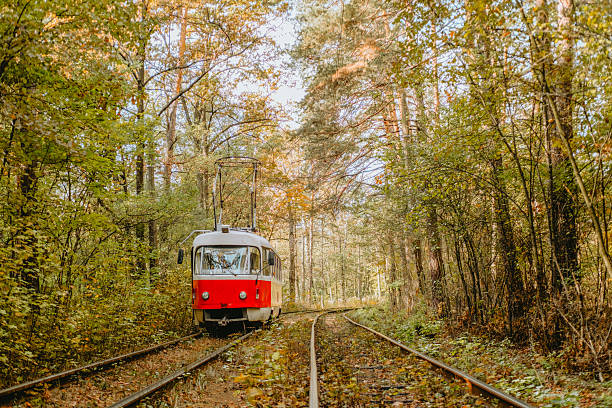 istock Vintage tram navigating through a serene forest in autumn 2241709405