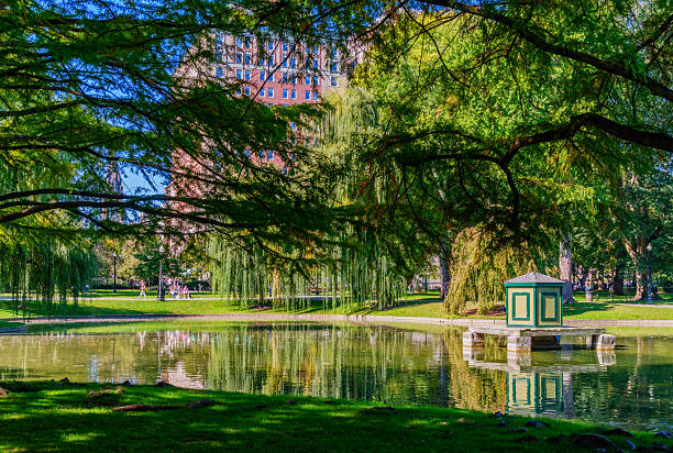 Boston, Massachusetts, USA - October 4, 2025: The Boston Public Garden's lagoon. Boston's Back Bay neighborhood is in the background. Established in 1837, the Public Garden is a large park in the heart of Boston, adjacent to Boston Common. It is a part of the Emerald Necklace system of parks. The Public Garden was the first public botanical garden in America.