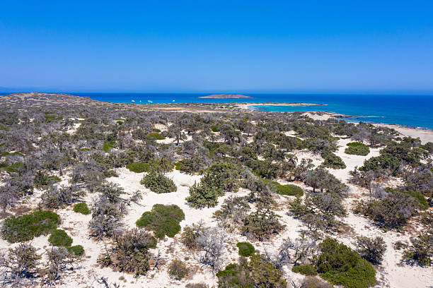 istock Chrissi island south Crete Greece 2241711844