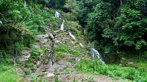 istock A lush tropical waterfall cascades over mossy rocks deep in the jungle. 2241724938