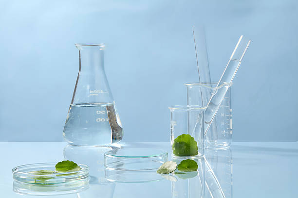 istock Two laboratory beakers, one filled with water and Centella leaves, styled against a blue background with space for product design placement. 2241728444