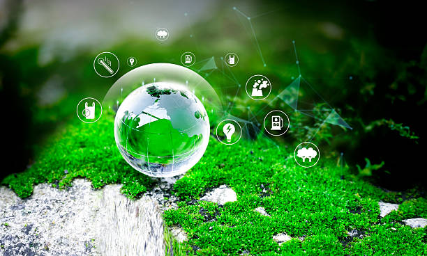 istock Crystal ball on moss with icons in green forest - environment esg concept. Crystal globe placed on moss. ESG icon. Society and Governance sustainable global environment 2241730983
