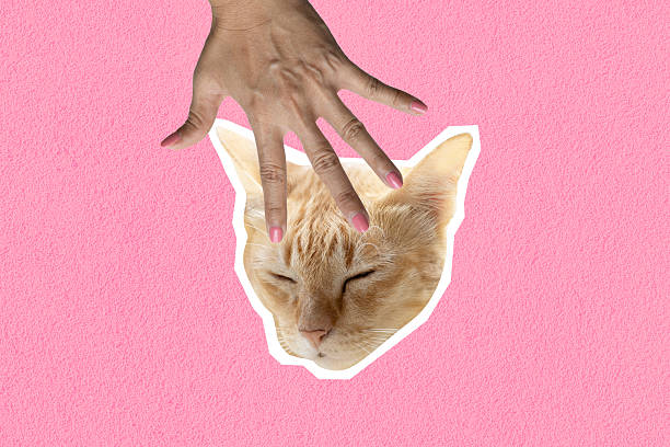 istock Contemporary minimal collage art cat head handle on pink background. Art collage digital pop modern art 2241731033
