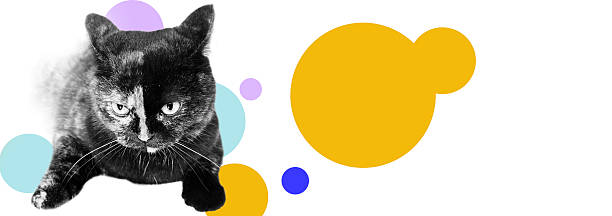istock Funny kitten with speech bubbles and bright geometric shapes emotions, doodle elements banner background. Art collage digital pop modern art 2241731073