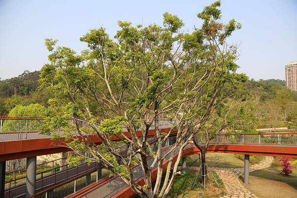 istock in the park, there is an iron tree-shaped sky bridge that adopts a green space design style and urban landscape aesthetics 2241737795
