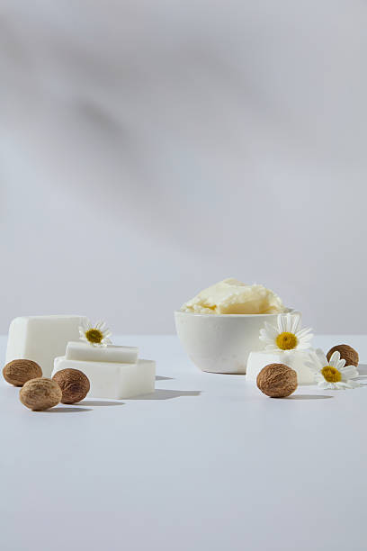 istock Vertical composition of shea butter and shea nuts with chamomile blossoms, styled on a clean background. Great for skincare branding and wellness design. Ingredient for cosmetic advertising 2241744631