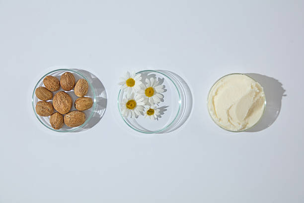 istock Flat lay composition with shea butter, nuts and chamomile in petri dish on white surface, styled for skincare and cosmetic product concepts. 2241744847