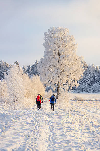 Falköping, Sweden-January, 2024: Group of people hiking on a snowy path a cold winter day