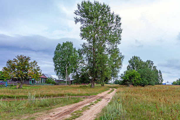 A summer rural landscape: a country road through a grassy field leads to wooden houses beneath tall green trees. The overcast sky adds an atmosphere of comfort and tranquility. A traditional Russian village.