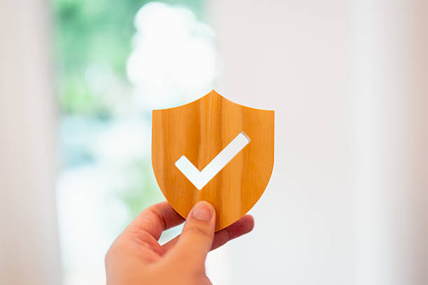 istock Hand holding wooden shield with check mark icon, symbolizing protection, trust, data security, insurance, quality assurance, approval, and safety guarantee. 2241749673