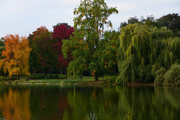 Lake Daumesnil, Bois de Vincennes: Paris, 12th arrondissement : the autumn