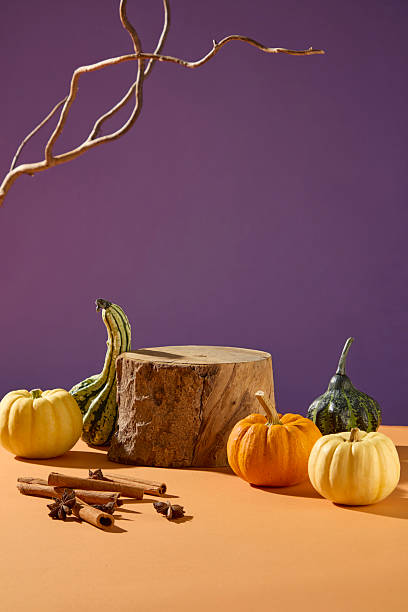 Vertical composition of pumpkins, wooden logs, and bare branches with soft orange lighting. Minimal seasonal still life perfect for cozy fall themes and Thanksgiving visuals.