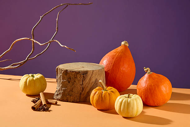 istock Rustic pumpkins and logs arranged with dried branches on purple background. Natural autumn setup for seasonal mood, perfect for fall ads, product display, or greeting card design. 2241750643