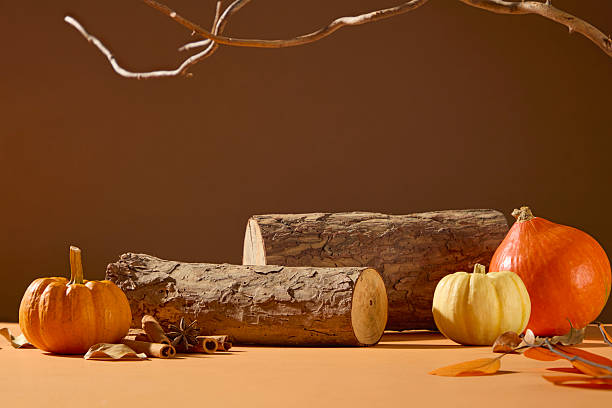istock Pumpkins and logs arranged on warm brown surface under soft autumn light. Beautiful still life evoking Thanksgiving and harvest season aesthetics. 2241750669